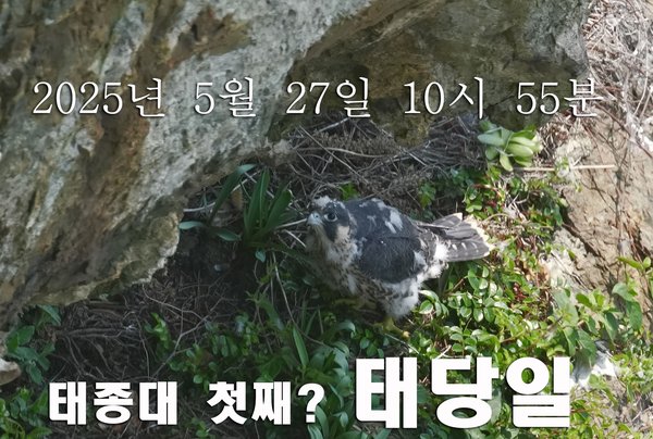 매